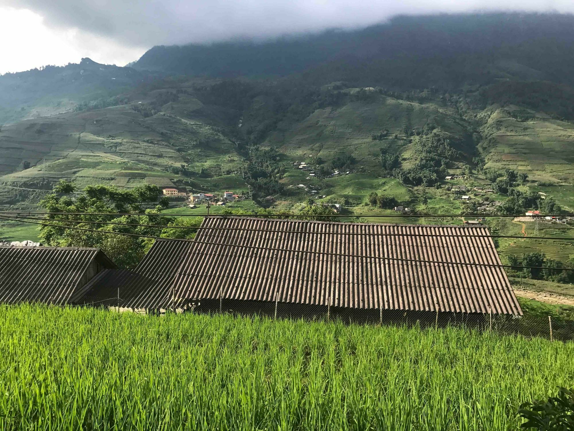 Phori'S House - Bamboo Forest Sa Pa Exterior photo